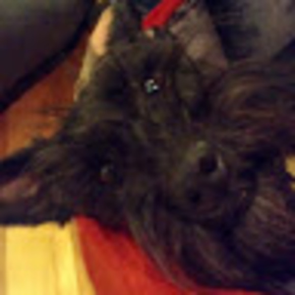 Meet your Posher, Clement - Picture 1 of 1